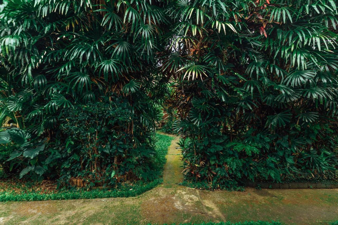 Suastika Lodge Ubud  Exterior photo